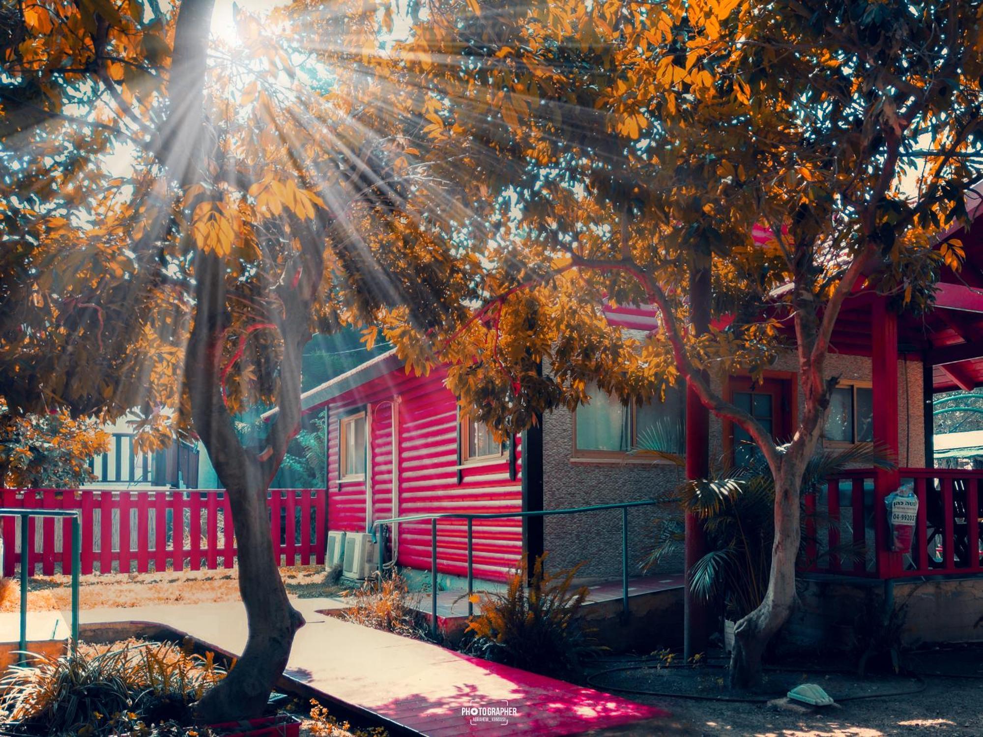 The Wooden Rose Cabins Bezet Cameră foto